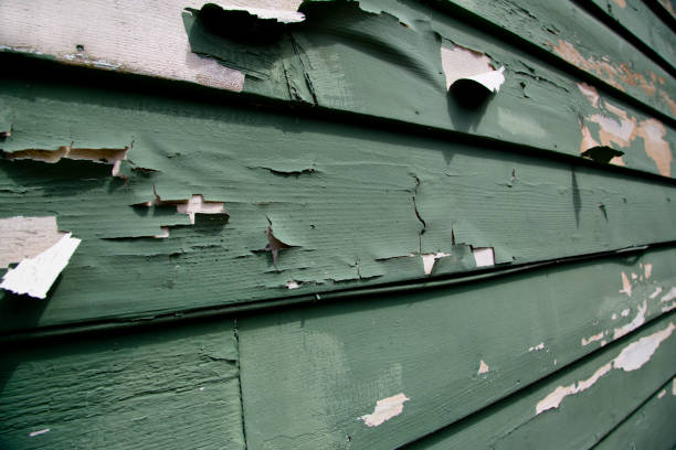 Demolition Debris Removal in Grand Ledge, MI
