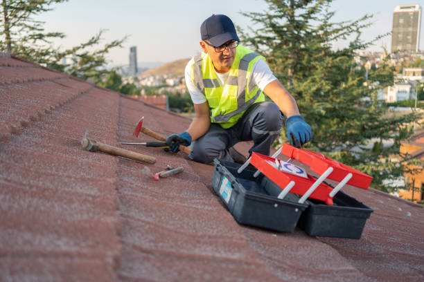Best Yard Waste Removal  in Grand Ledge, MI